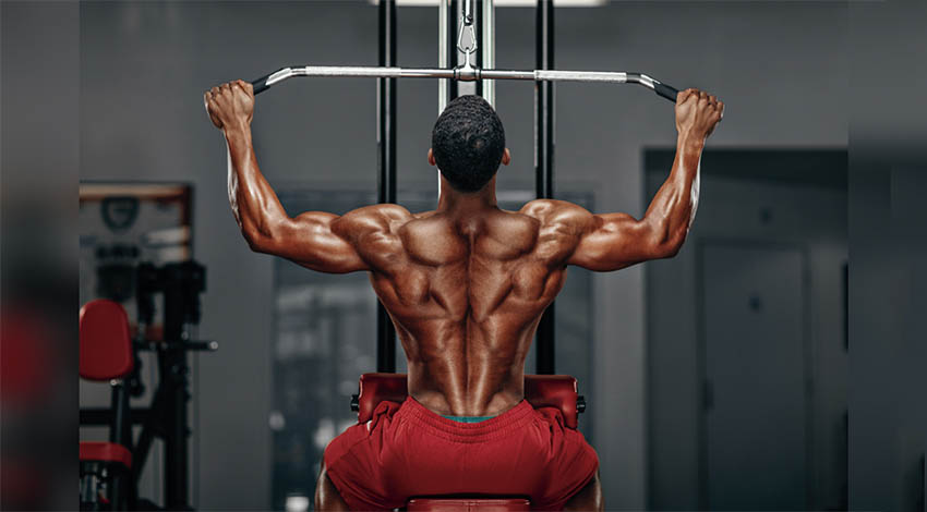 Full Back Muscles Workout